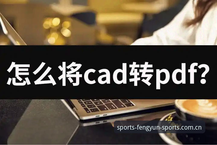 风云体育数据查询服务实用指南：新手快速上手的必备知识