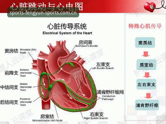 掌握风云体育实时行情的实用技巧与必备知识
